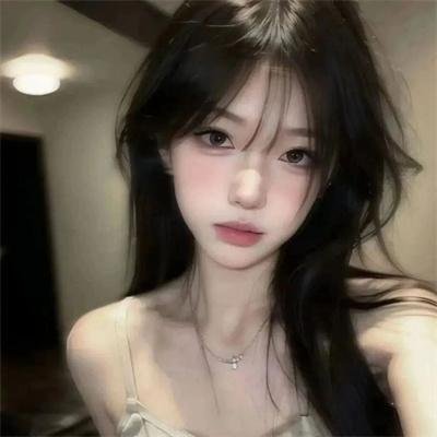 中华熊猫